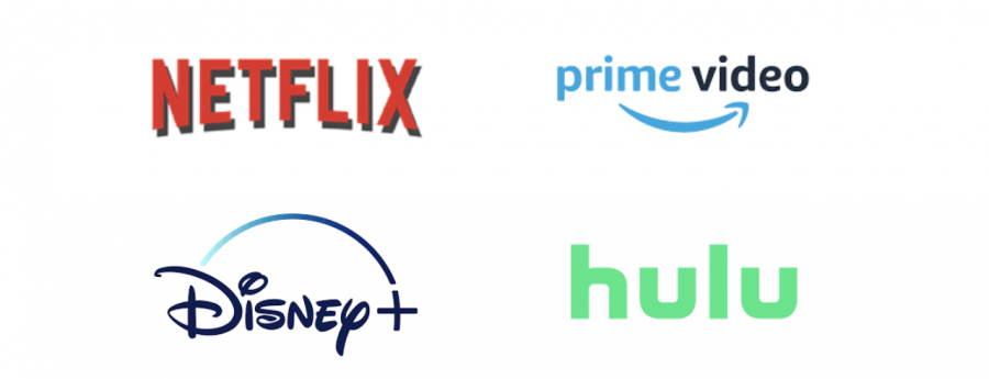 Netflix, Prime Video, Disney+ and Hulu logos.